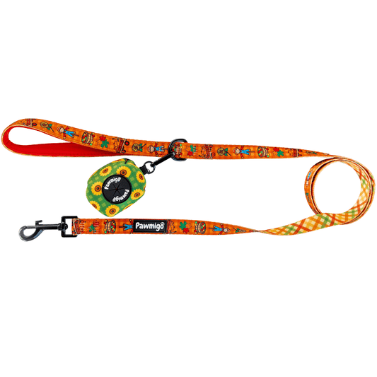 Pupkin Patch Leash Kit