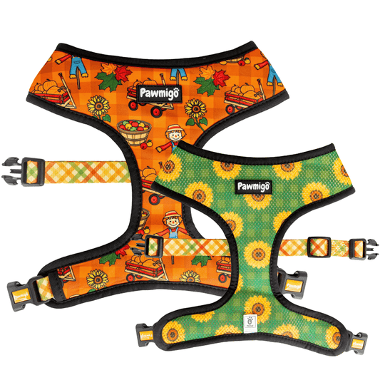 Pupkin Patch Reversible Harness