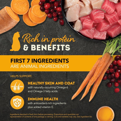 Acana grain free cat food wet with rich protein ingredients supporting healthy skin coat and immune health