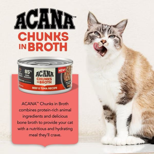 The Family Pet ACANA grain free wet cat food Chunks in Broth Beef and Tuna Recipe with a happy cat