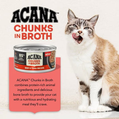 The Family Pet ACANA grain free wet cat food Chunks in Broth Beef and Tuna Recipe with a happy cat