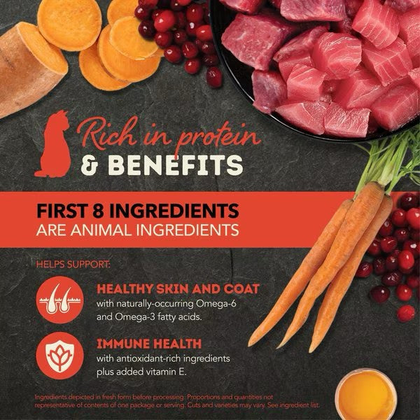 The Family Pet grain free wet cat food highlighting rich protein and benefits for healthy skin and immune health