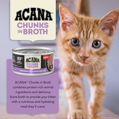 Acana kitten wet food chicken and salmon recipe can next to a curious orange tabby kitten
