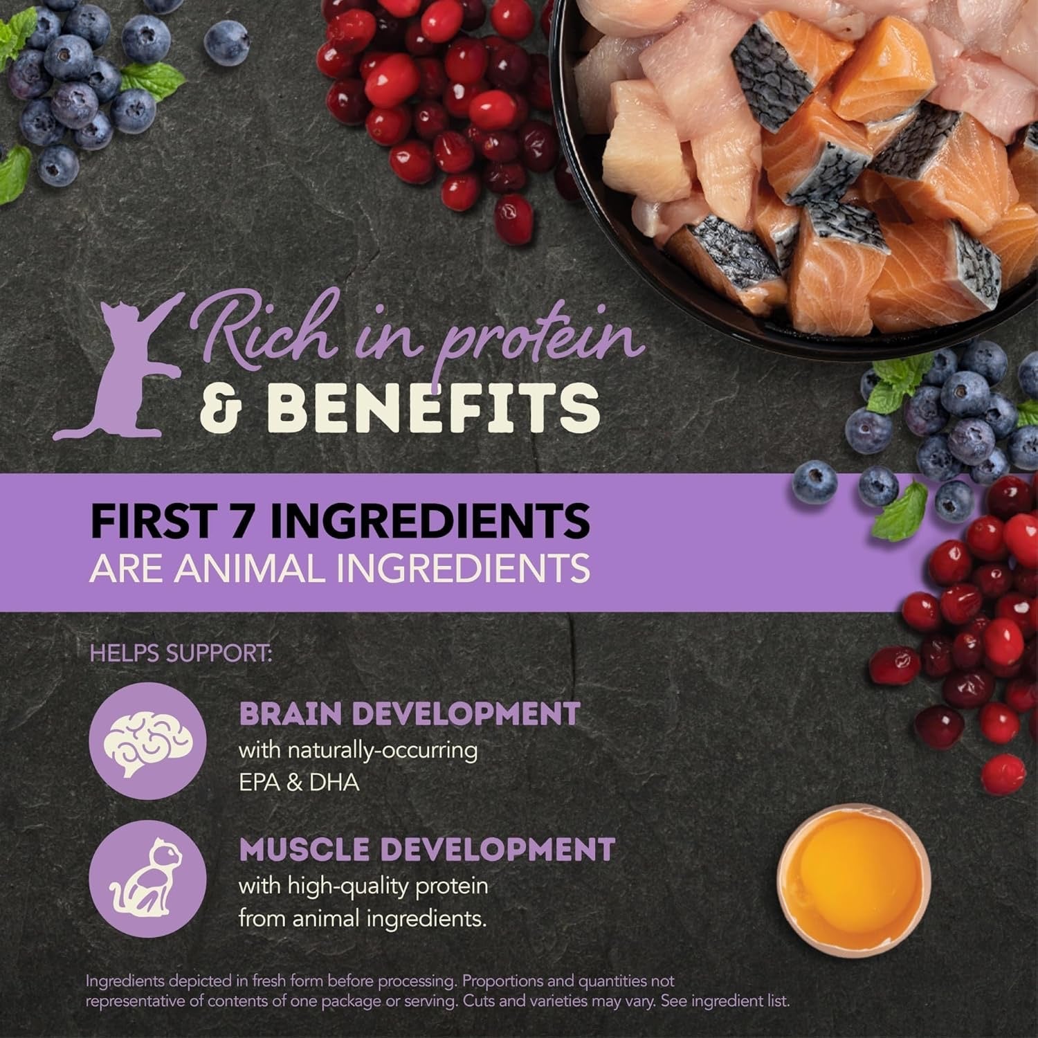 Acana kitten wet food rich in protein with animal ingredients supporting brain and muscle development