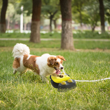 Small dog drinking from an automatic dog water fountain on grass in a park setting