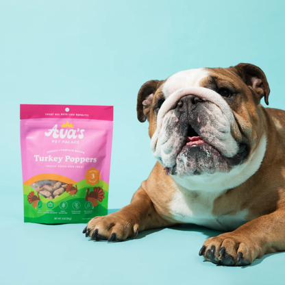 American Pet Supplies freeze dried turkey dog treats package next to a brown and white bulldog on blue background