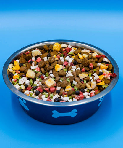 Dog food bowl filled with colorful kibble and treats for pets, designed for nutritional variety