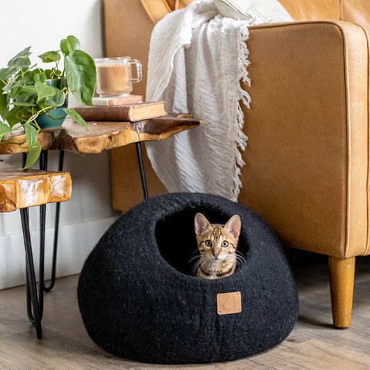 Cat resting inside a black pet cave bed near a couch and wooden side table with plants