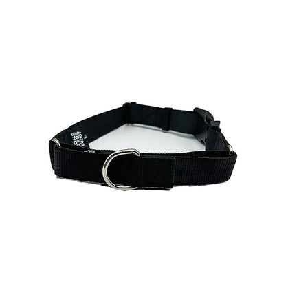 Martingale Dog Collar