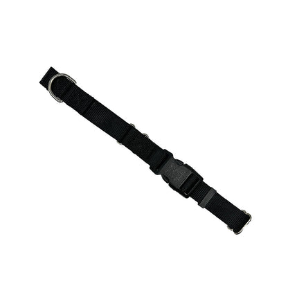 Martingale Dog Collar