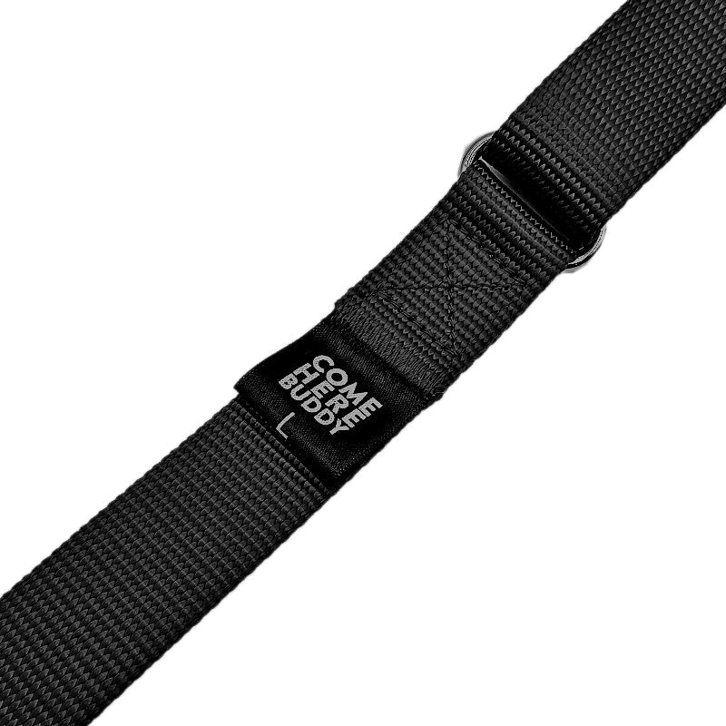 Martingale Dog Collar