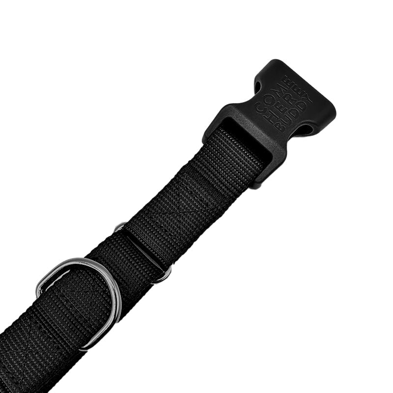 Martingale Dog Collar