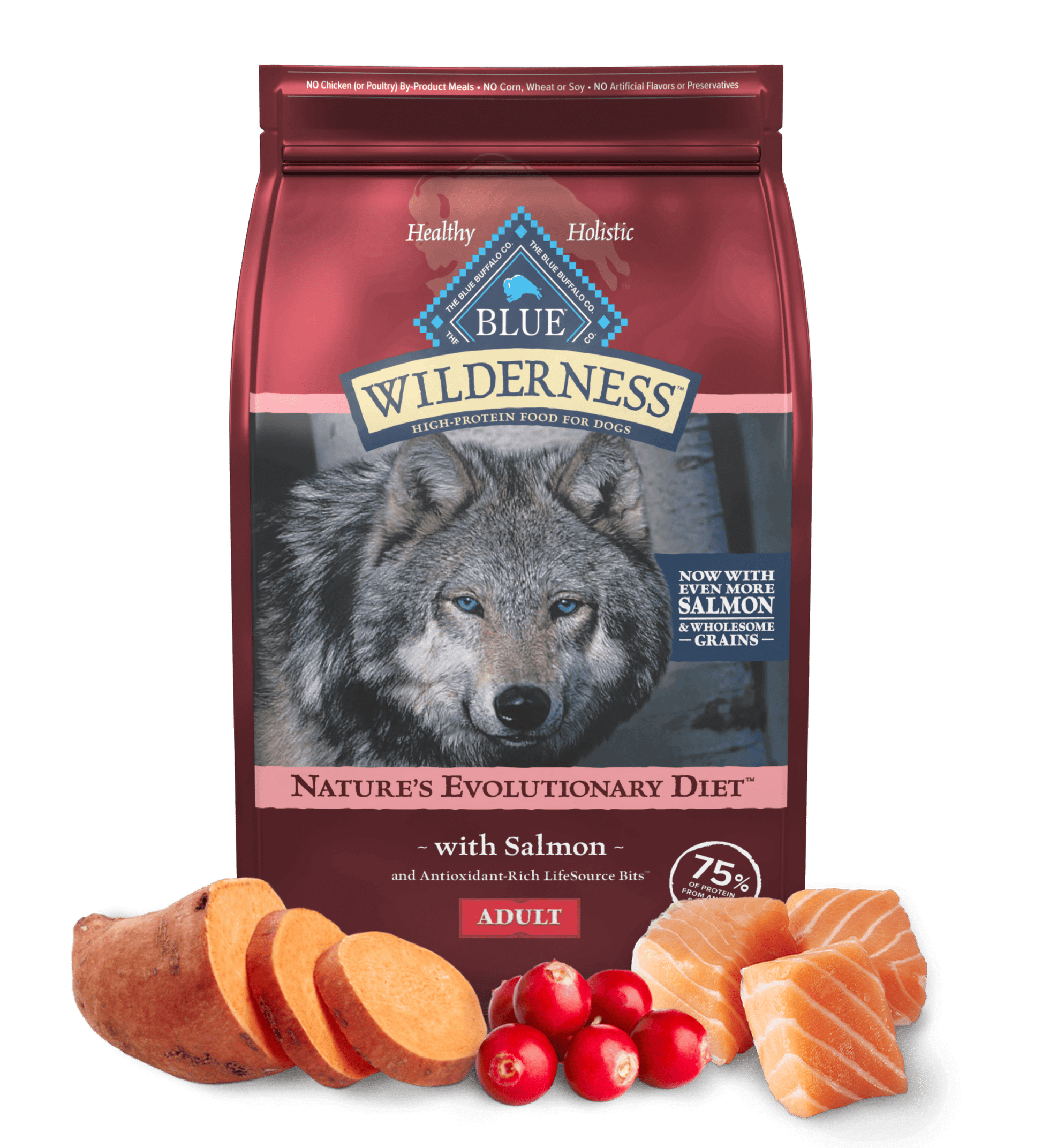 Blue Buffalo Wilderness Salmon dog food bag with wolf image and salmon, sweet potatoes, and cranberries