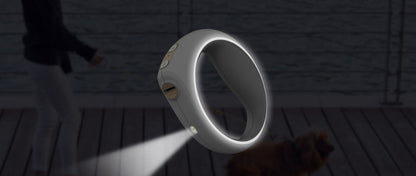Bluetooth smart dog leash from PawCounter.com with built-in LED light for night walks