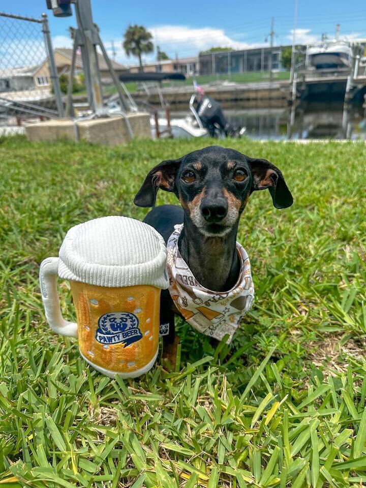 PAWTY BEER PLUSH DOG TOY