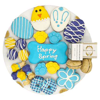 Easter dog treats gift box with colorful decorated cookies and macarons by PawCounter.com