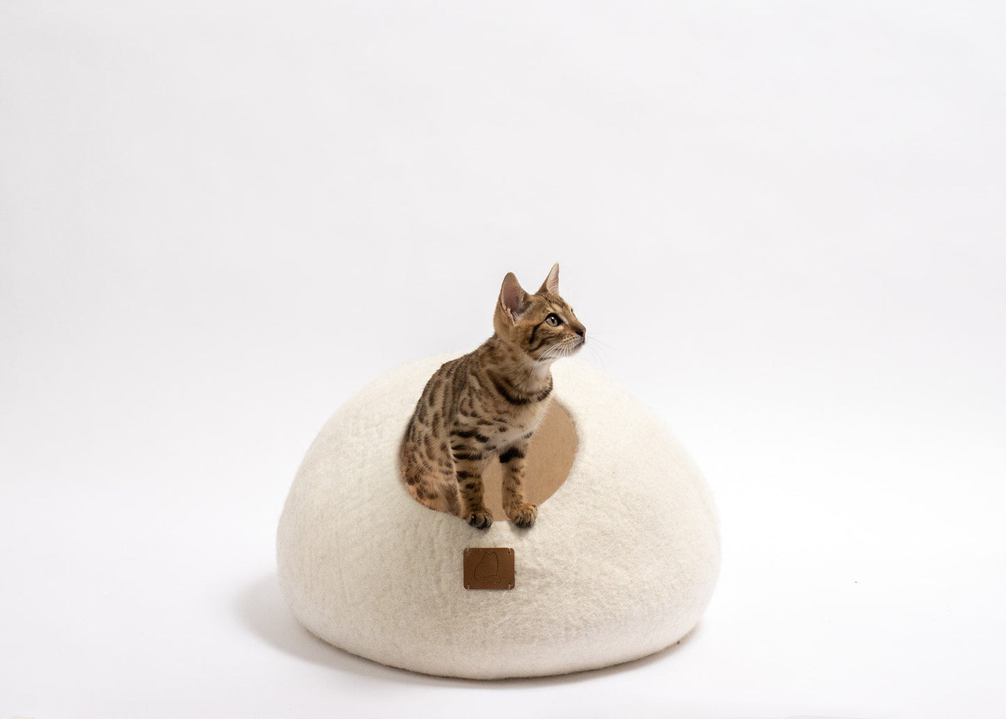 Cozy cat cave bed from The Family Pet with a cat lounging on top for comfort and style