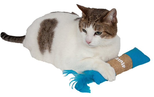 White and brown tabby cat playing with blue catnip plush toy for cats with feathers