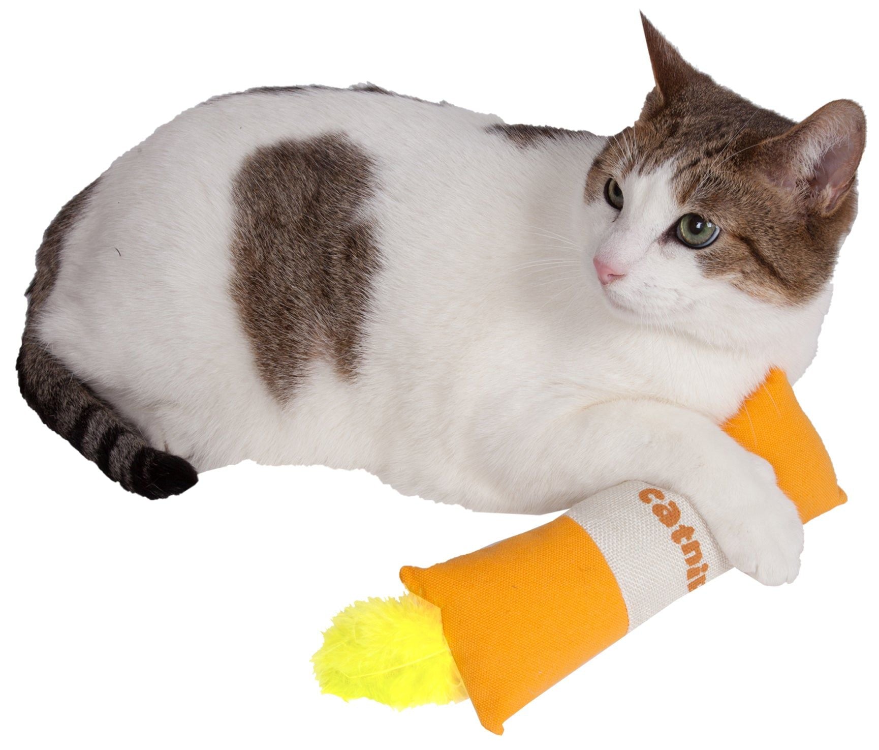 Cat playing with orange and yellow catnip plush toy for cats from PawCounter.com