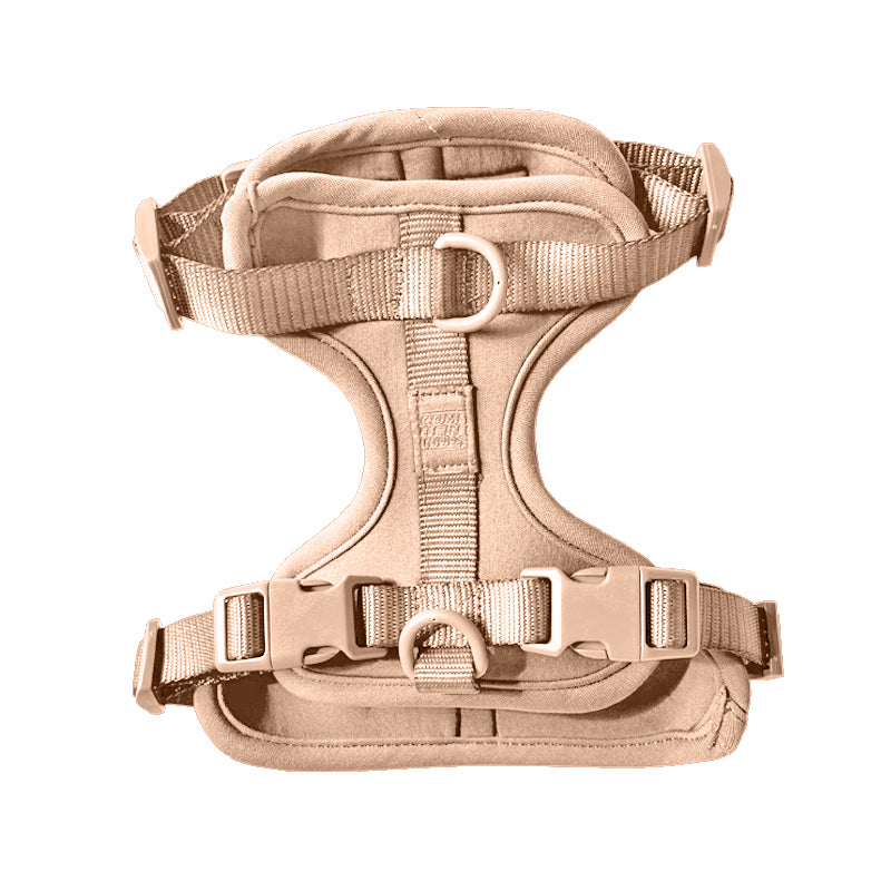 Come Here Buddy Adjustable Dog Harness for Small and Large Dogs with Padded Comfort