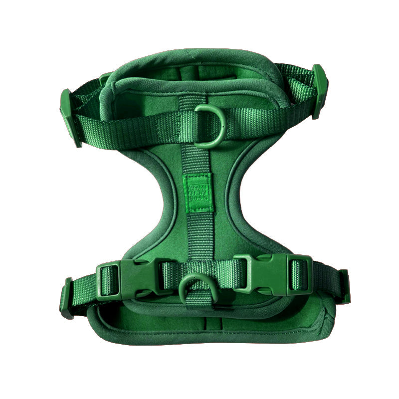 Come Here Buddy Green Dog Harness for Small and Large Dogs with Adjustable Straps and Padded Design