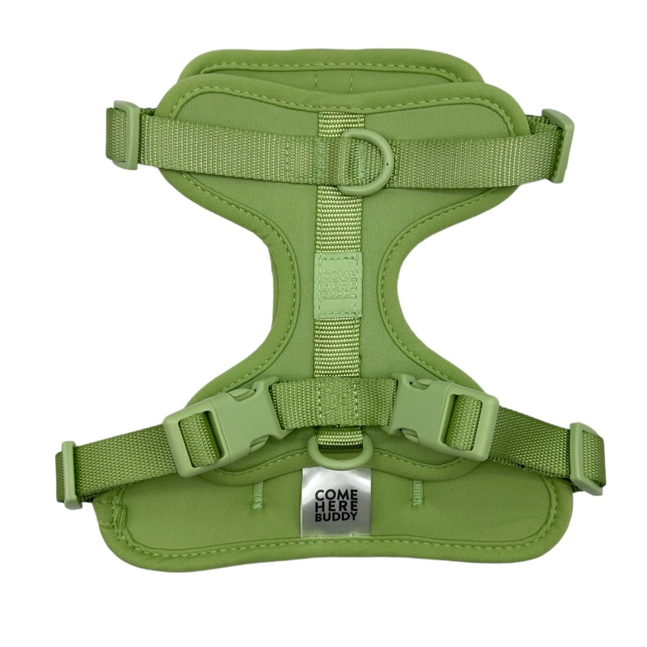 Come Here Buddy Adjustable Dog Harness for Small and Large Dogs in Green with Secure Clips