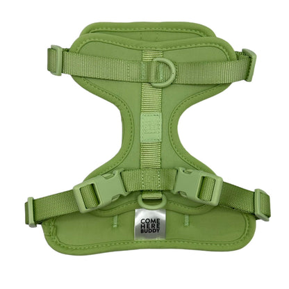 Come Here Buddy Adjustable Dog Harness for Small and Large Dogs in Green with Secure Clips