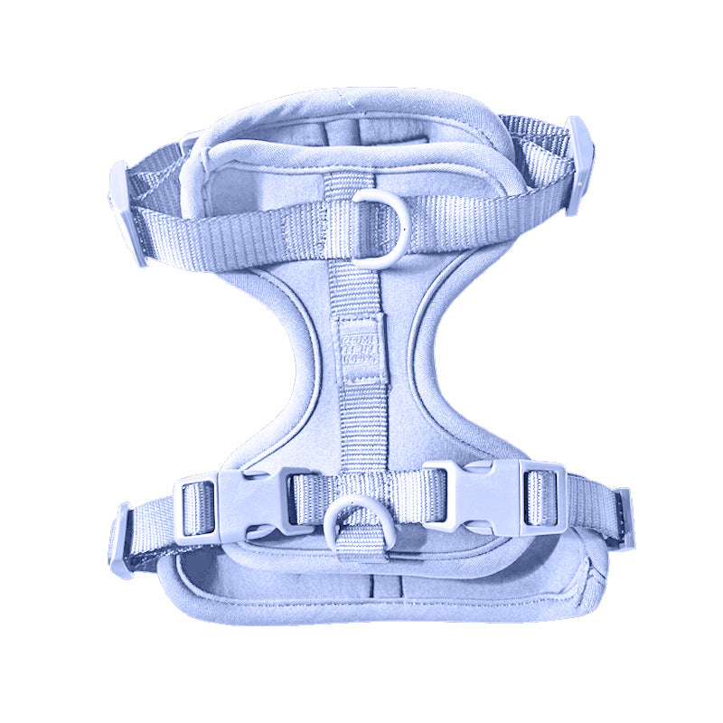 Adjustable Come Here Buddy dog harness for small and large dogs with comfortable padding and secure buckles