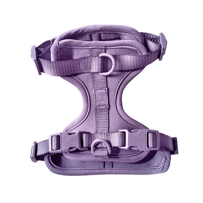 Come Here Buddy Dog Harness for Small and Large Dogs in Purple with Adjustable Straps