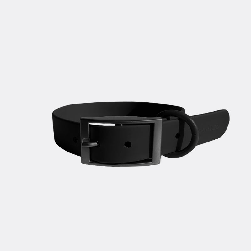 Come Here Buddy durable dog collar in black with a sturdy metal buckle for reliable pet wear