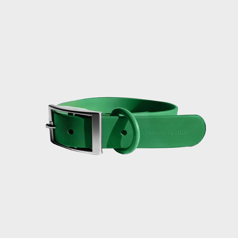 Come Here Buddy durable dog collar in green with a sturdy metal buckle for safety and style