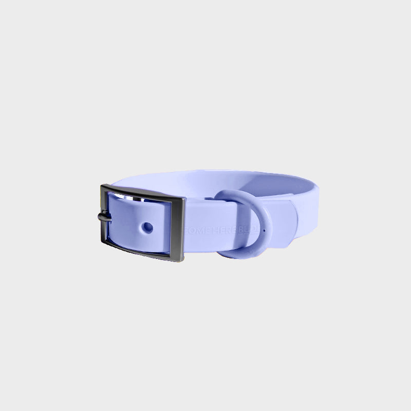Come Here Buddy durable dog collar in lavender color with a sturdy buckle for comfortable wear