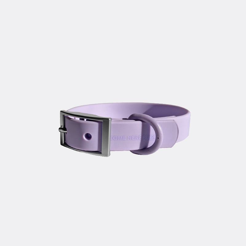 Come Here Buddy durable dog collar in lavender color with sturdy buckle and adjustable fit