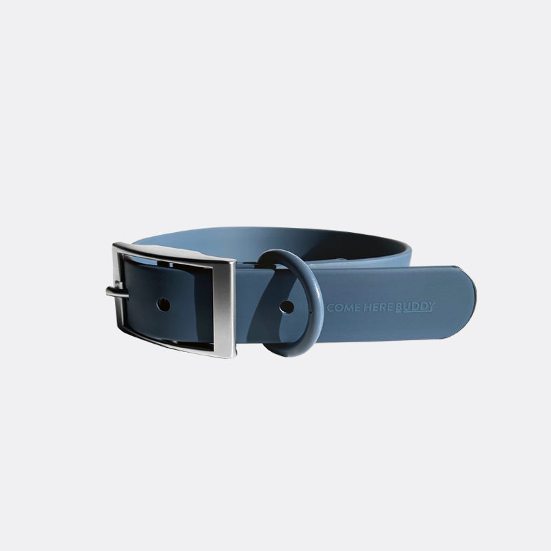 Come Here Buddy durable dog collar in blue with a stylish metal buckle for strong and comfortable wear