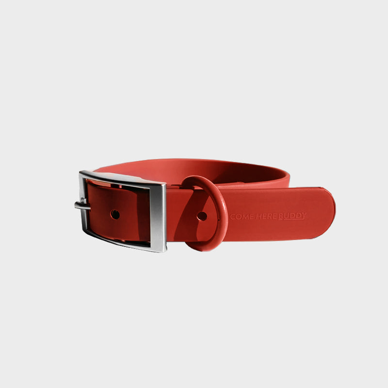 Come Here Buddy durable dog collar in red with metal buckle for strong and stylish pet wear