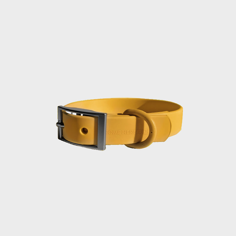 Come Here Buddy durable dog collar in yellow with metal buckle and adjustable fit