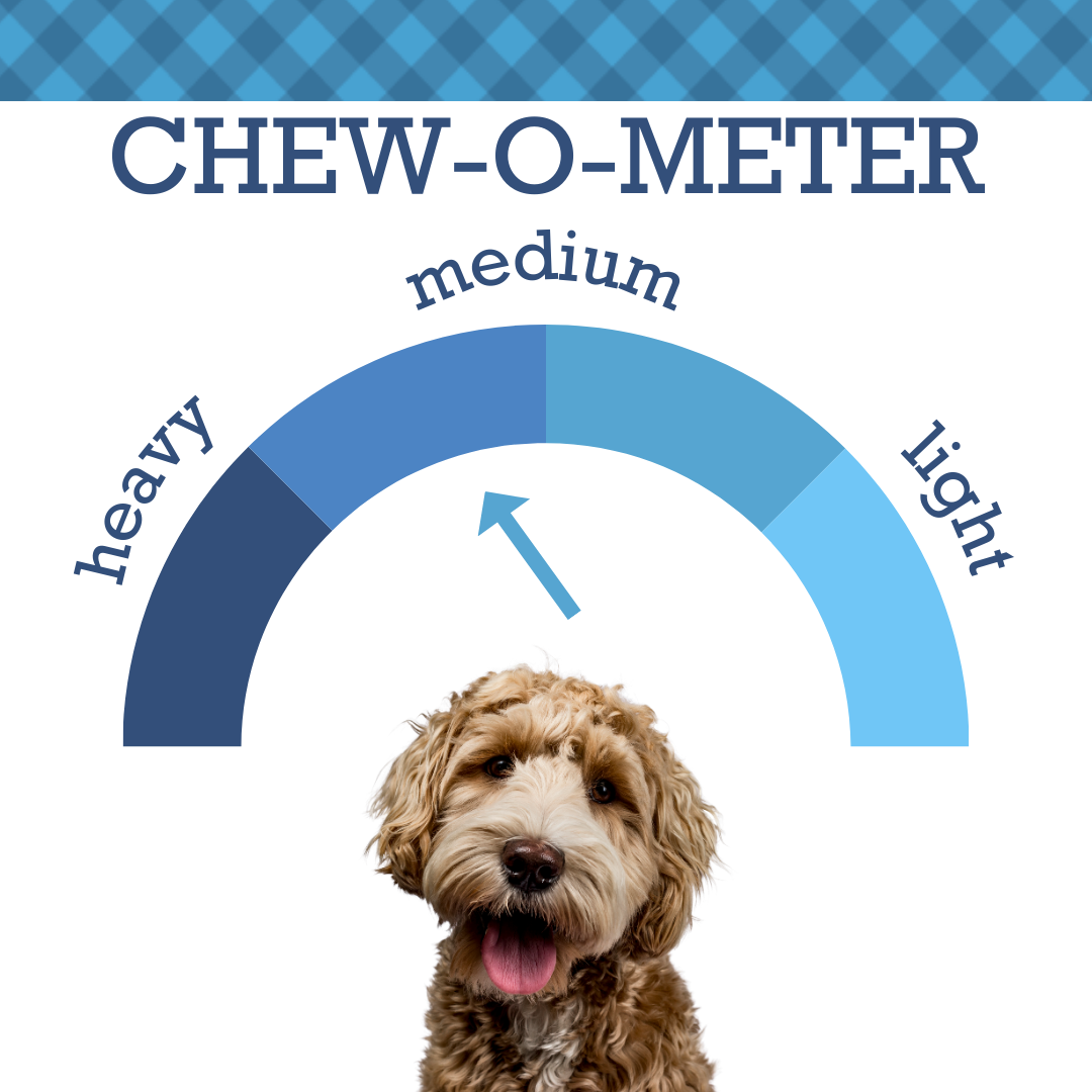 Cute dog in front of chew-o-meter graphic indicating medium chew level for all natural beef bully sticks