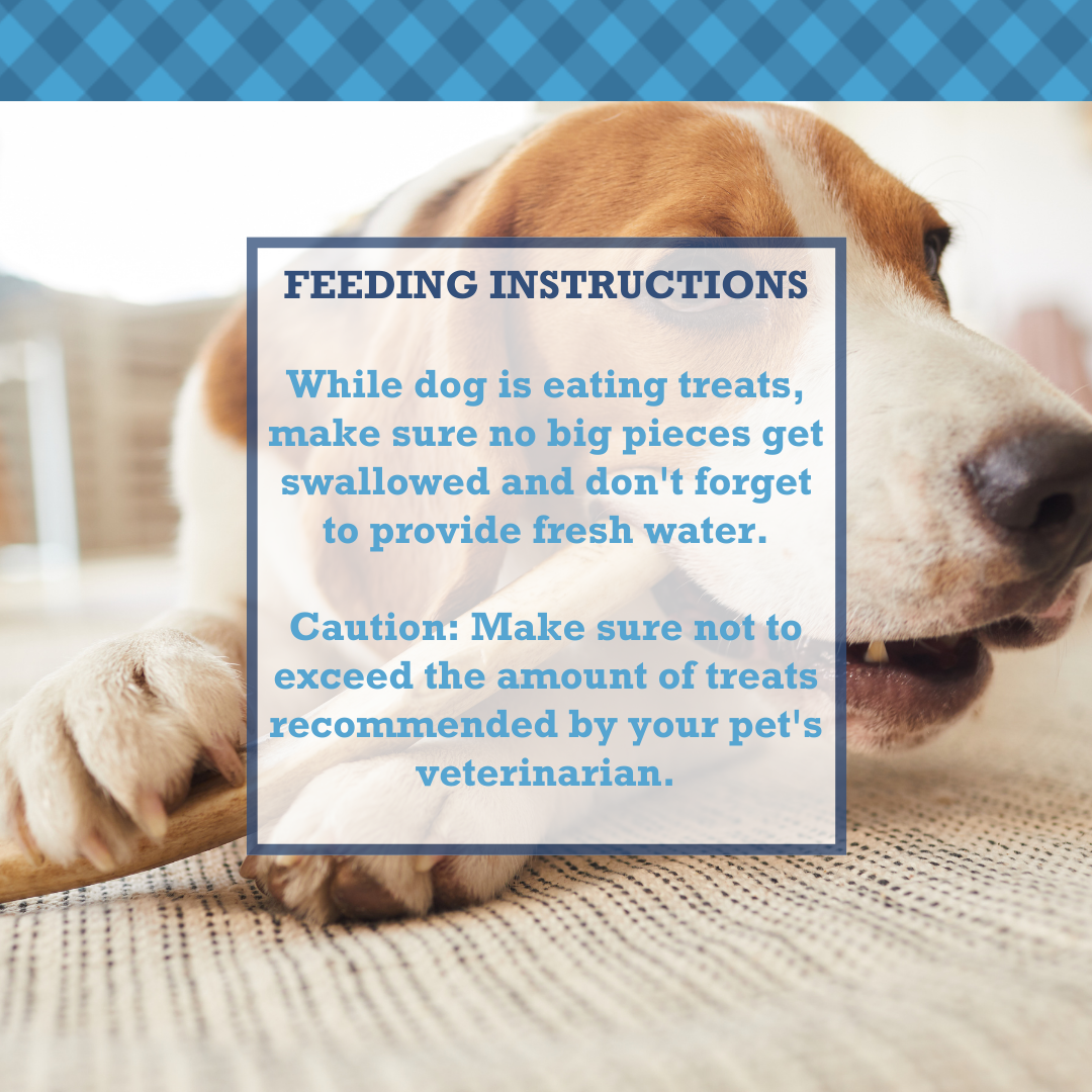 Dog chewing on all natural beef bully sticks by American Pet Supplies with feeding instructions overlay