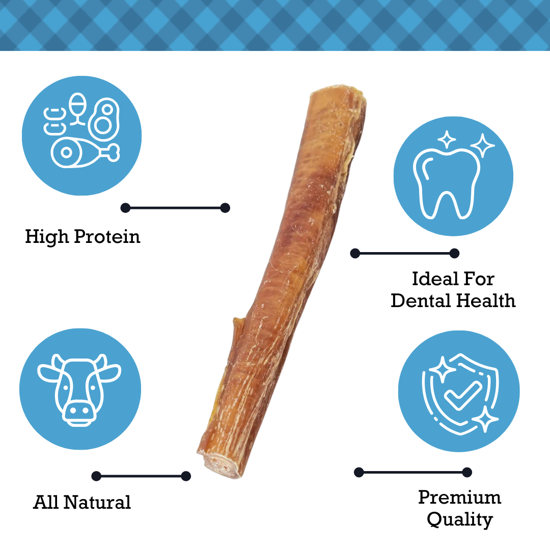 American Pet Supplies all natural beef bully sticks dog treat high protein dental health premium quality