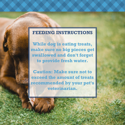 Dog chewing all natural beef tendon dog chews by American Pet Supplies with feeding instructions overlay