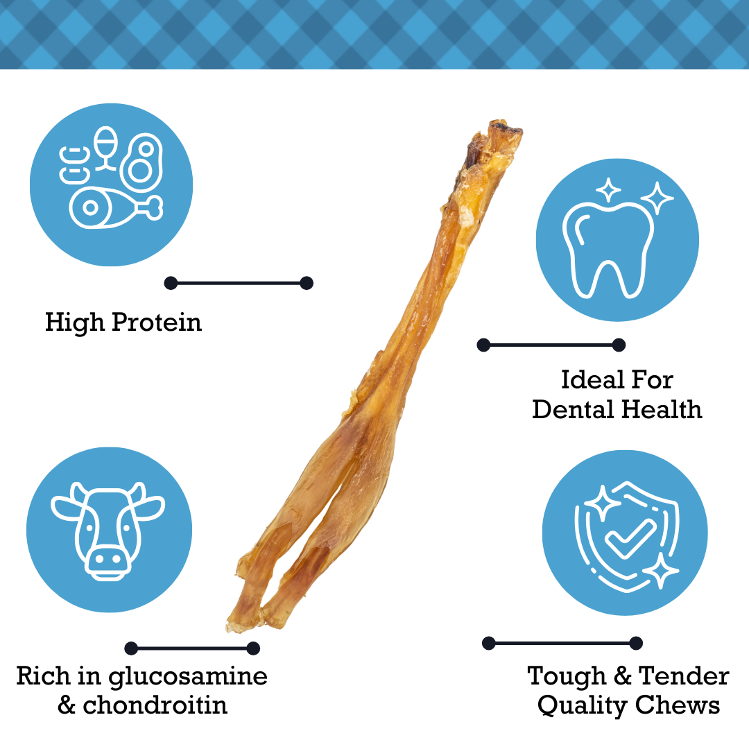 American Pet Supplies all natural beef tendon dog chews high protein dental health rich in glucosamine and chondroitin