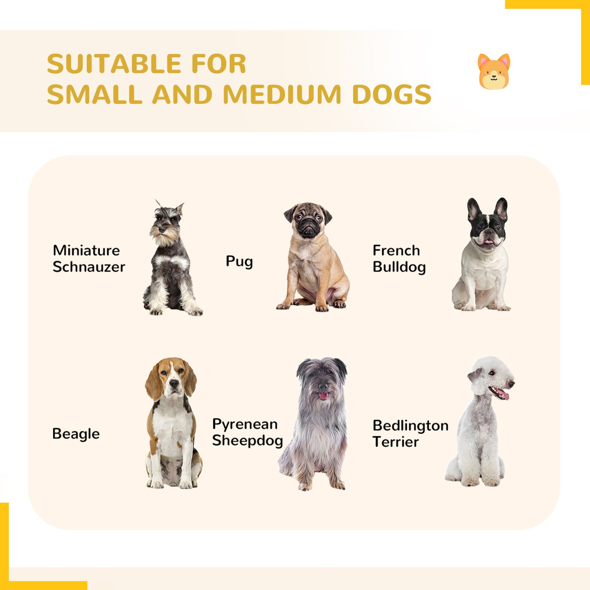 Different dog breeds suitable for dog playpen for small and medium dogs including Miniature Schnauzer Pug and Beagle