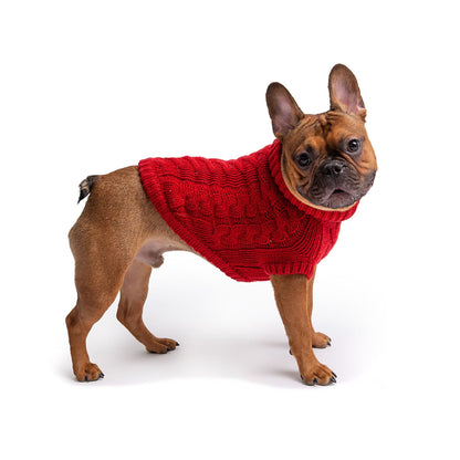 French Bulldog in a cozy red dog sweater made from high-quality knit for warmth and style