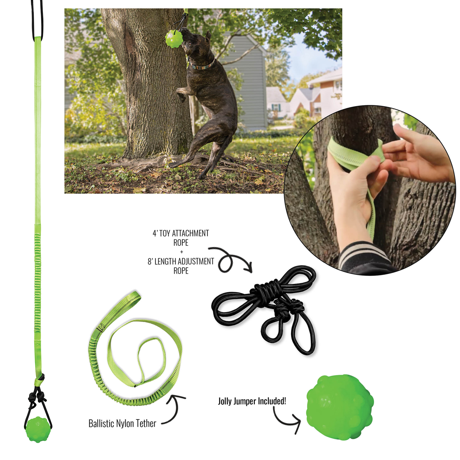 Jolly Pets dog tree tug toy with a green ball and sturdy rope for outdoor play and exercise