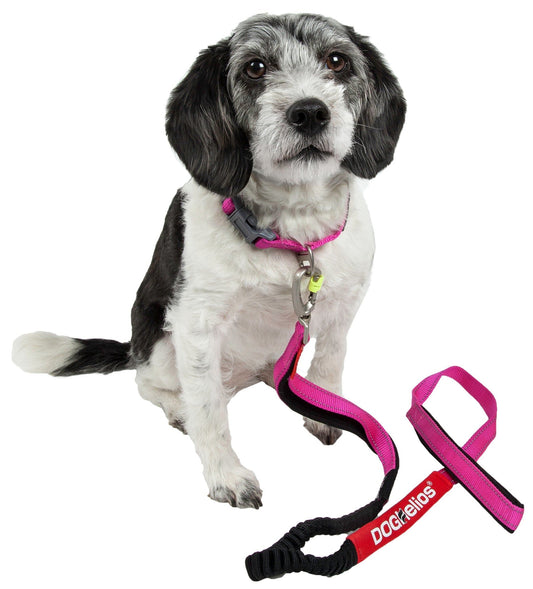 Small black and white dog wearing pink indestructible dog leash and collar from PawCounter.com