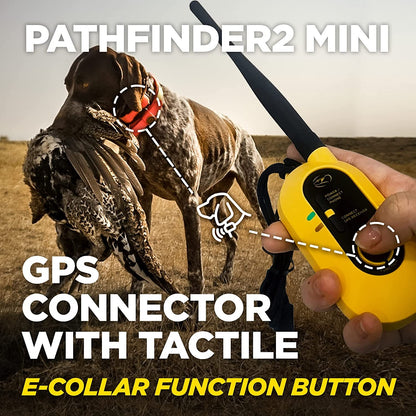 Dogtra GPS tracking collar Pathfinder 2 Mini with GPS connector and tactile e-collar function button