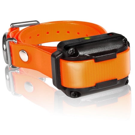 Dogtra IQ Plus dog training collar in bright orange with black control module and adjustable strap