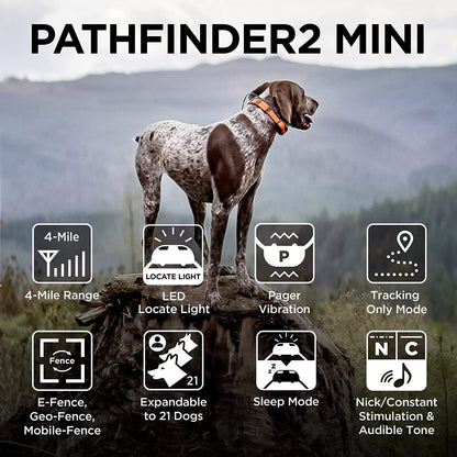 Dogtra PATHFINDER2 MINI review featuring a dog wearing the collar with tracking and training icons in outdoor setting
