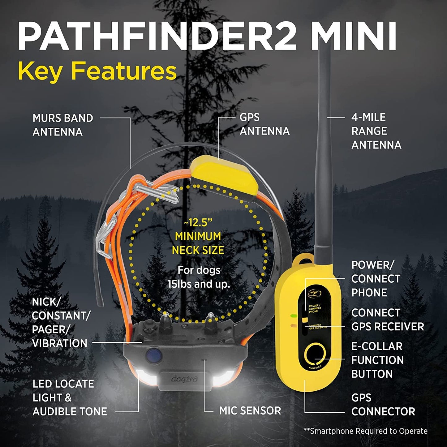 Dogtra PATHFINDER2 MINI dog tracking collar with GPS antenna and 4-mile range antenna features detailed in Dogtra PATHFINDER2 MINI review