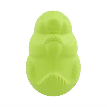 Jolly Pets Durable Dog Chew Toy in Bright Green for Interactive Play and Tough Chewing